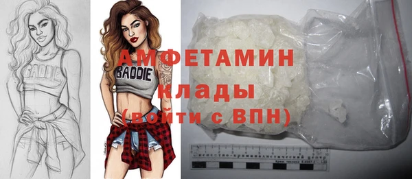 гашик Новодвинск