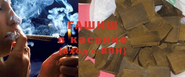 гашик Новодвинск