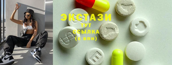 индика Кохма