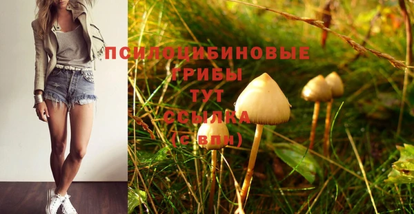 гашик Новодвинск