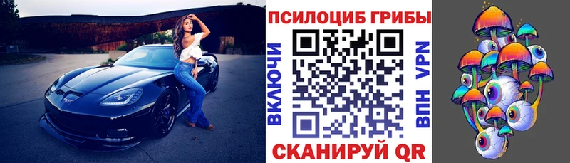 mega маркетплейс  Кстово  Галлюциногенные грибы Magic Shrooms 