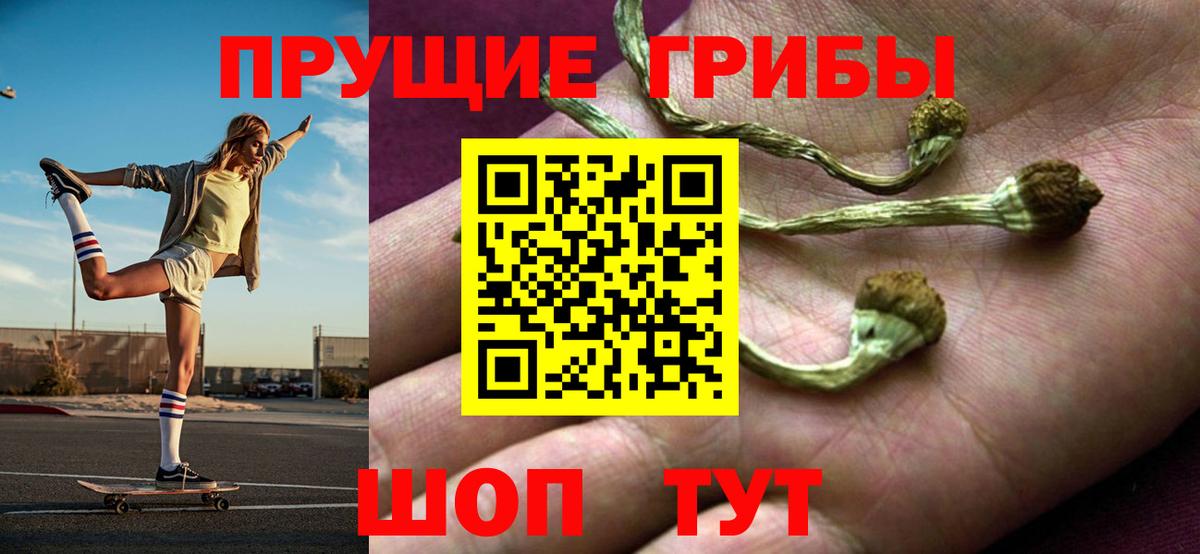 Галлюциногенные грибы GOLDEN TEACHER Кстово