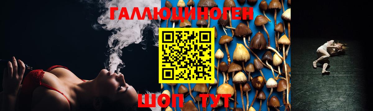 Галлюциногенные грибы Magic Shrooms Кстово